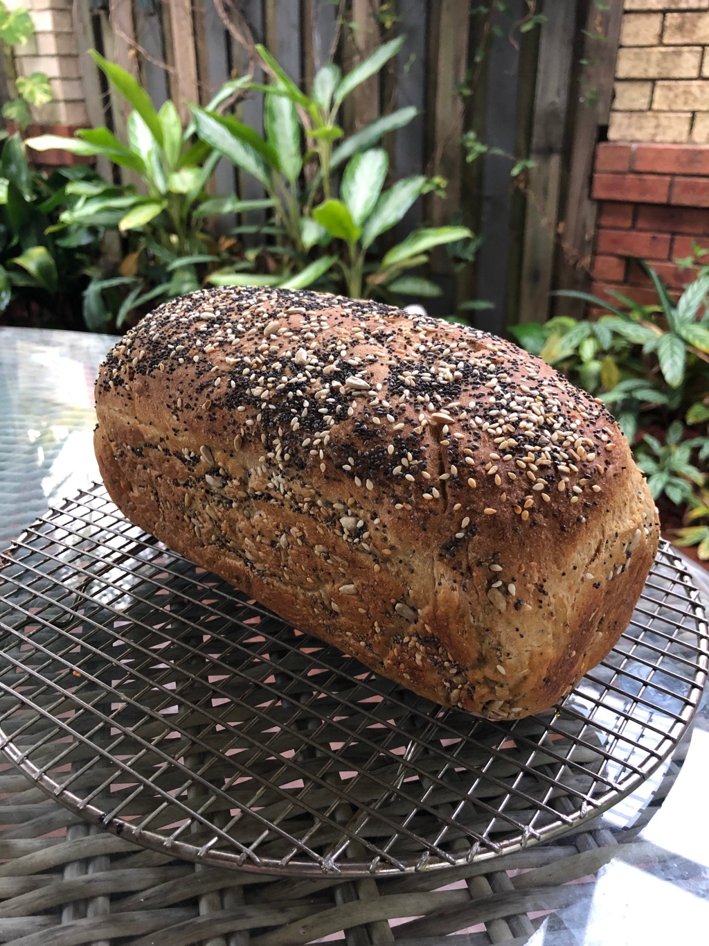 Seeded Spelt bread with molasses